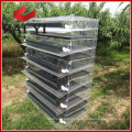 quail cage for zimbabwe farm,quail cage philippines,quail cage iron